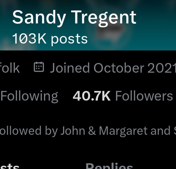 jackmccw's tweet photo. @louderry Sandy posts 62 times a day. They're a bot, a paid rage farmer, or has a sad life. https://t.co/0hOh5Csajv