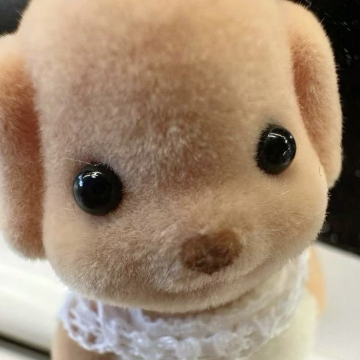 n ⭑ jaypril 🐈‍⬛ tweet media