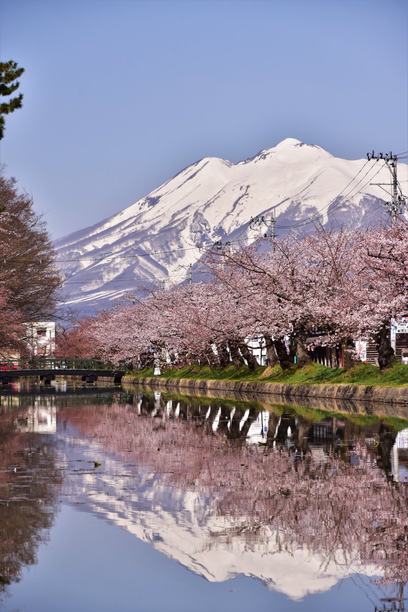 弘前市シティプロモーション tweet media