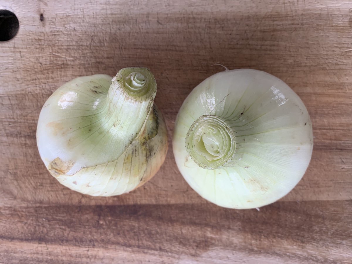 CoCo美漢方 田中 友也です。 tweet media