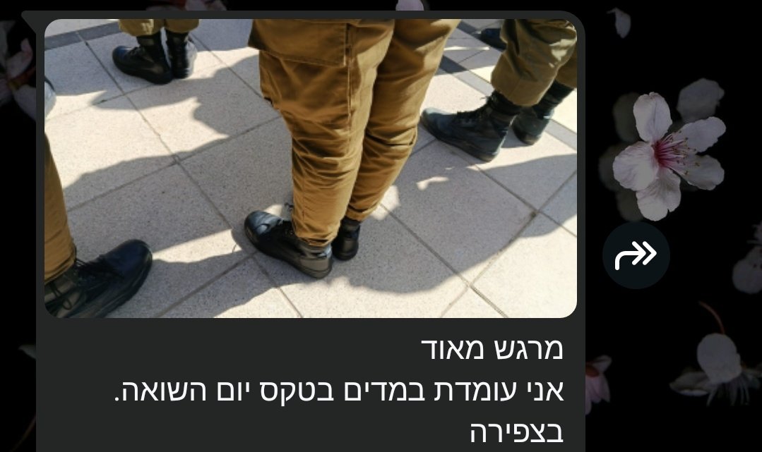 Rnusha tweet media