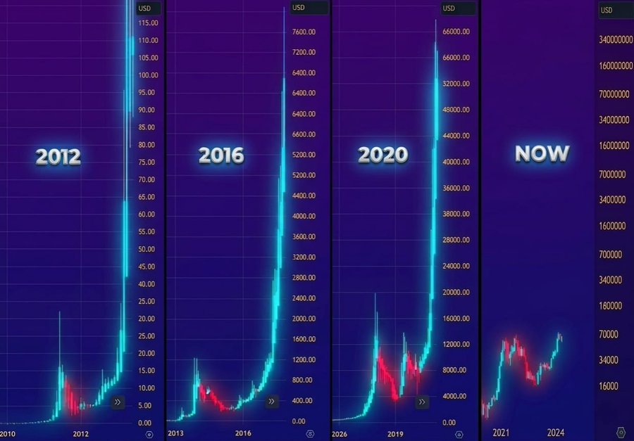 Hailey LUNC XRP tweet media