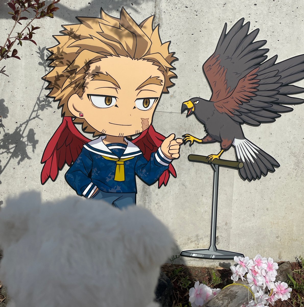 めめこ tweet media