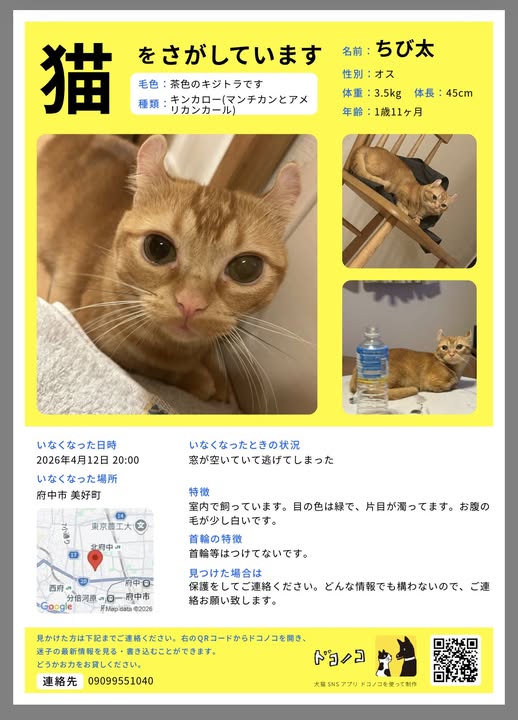 ノウト(ノベルティ研究所) tweet media