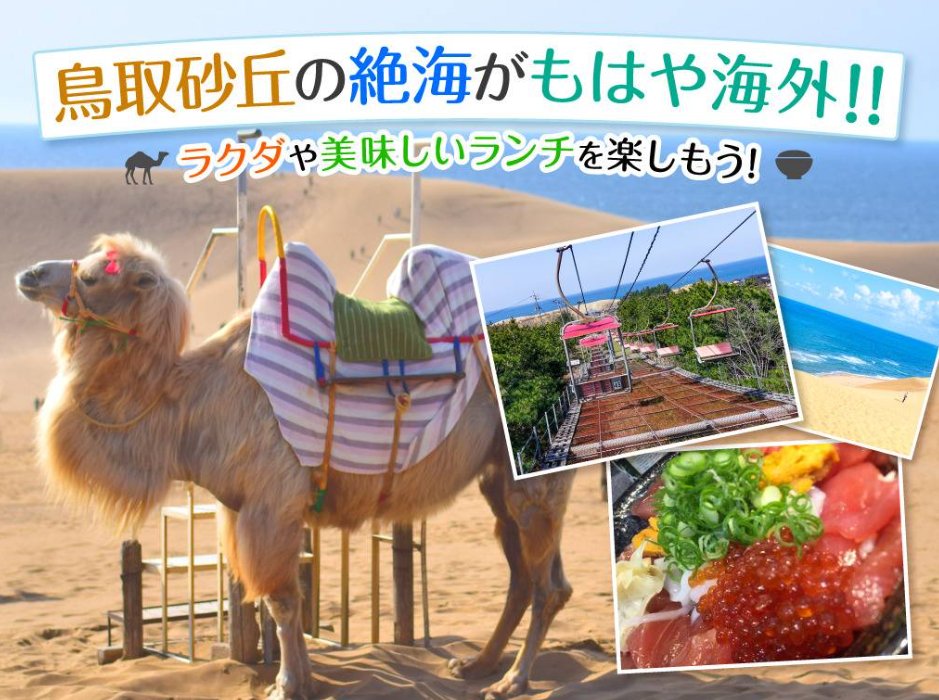Tours_Master's tweet photo. ／
鳥取砂丘の絶海がもはや海外🌊！ラクダや美味しいランチを楽しもう🐫！
＼

鳥取砂丘の観光ポイントをご紹介。ラクダとの写真撮影や美味しいランチ情報も🍽️！鳥取観光の参考にしてみてくださいね☺️

▼詳細はこちら
https://t.co/AV8CLHuXEo

#鳥取砂丘
#ツアーマスター
#旅行好きと繋がりたい https://t.co/5YR0ttJF96