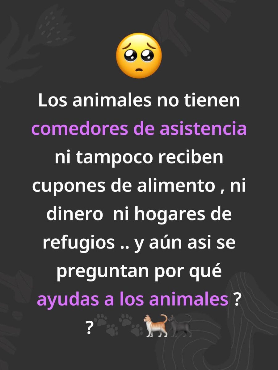 LUISASORIANOBRU's tweet photo. https://t.co/2tGQmy6j1r