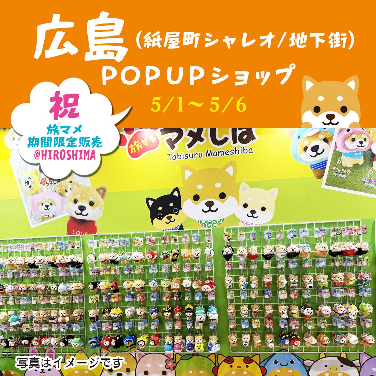 旅するマメしば tweet media
