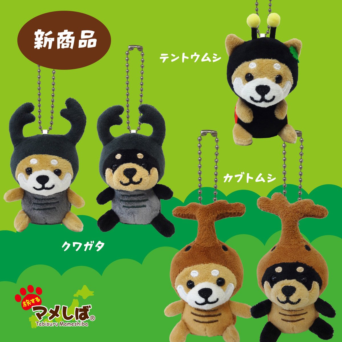 旅するマメしば tweet media