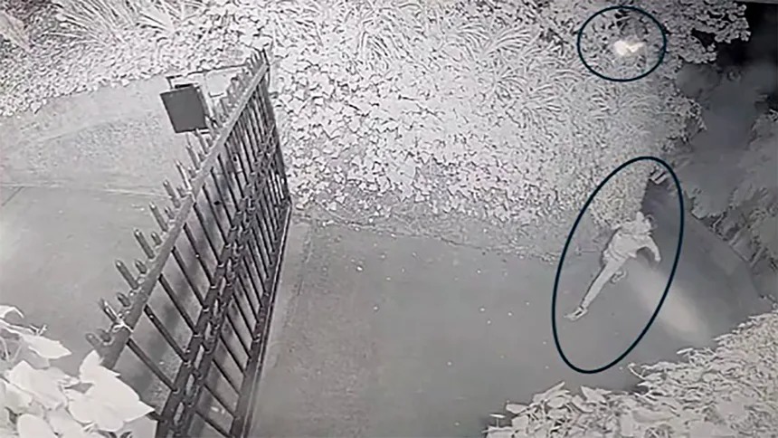 Sumit Kapoor tweet media