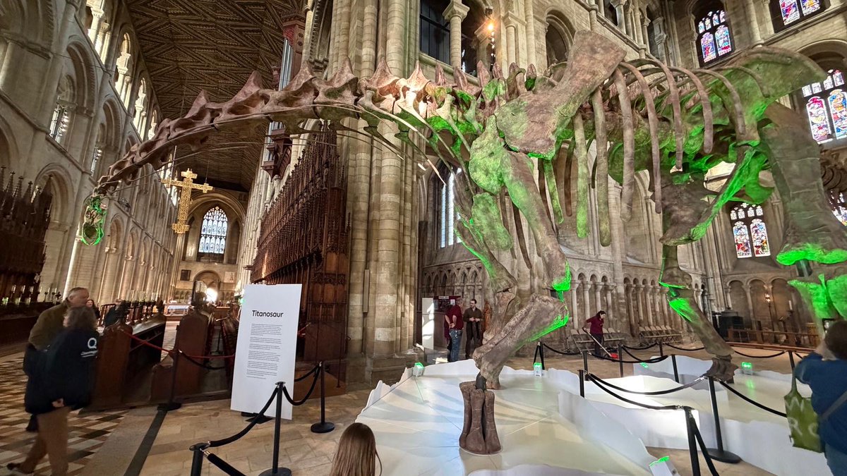 Peterborough Cathedral tweet media