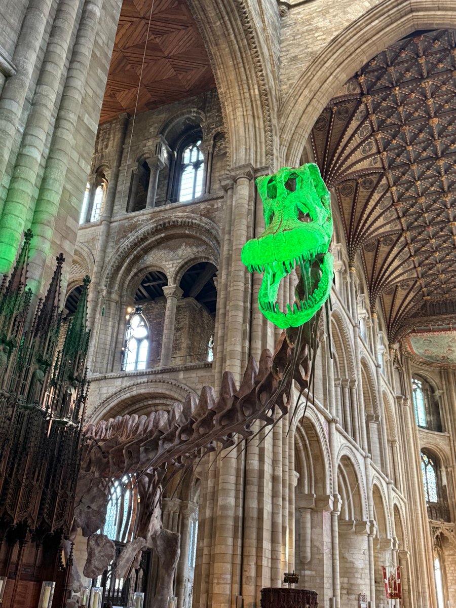 Peterborough Cathedral tweet media