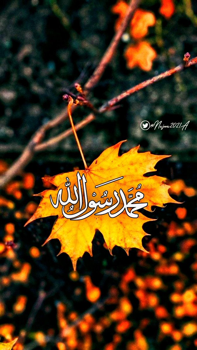 Log Out😊 tweet media