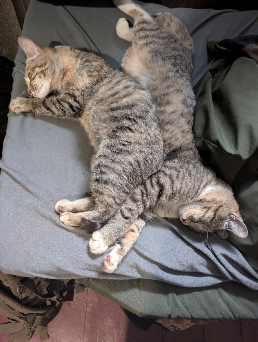 Є думка переказувати їх Серсея і Джеймі