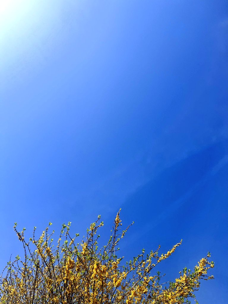 ✨️✨️✨️✨️Hayley ✨️✨️✨️✨️ tweet media