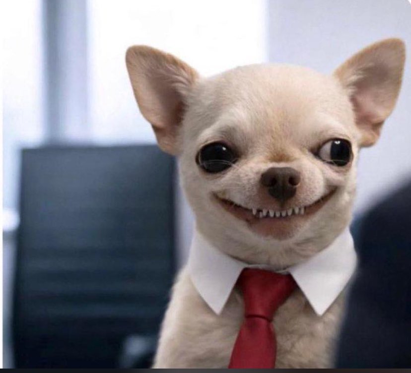 𝔗𝔥𝔢 𝔅𝔩𝔞𝔷𝔢 𝔉𝔬𝔲𝔫𝔡𝔞𝔱𝔦𝔬𝔫 〽️ tweet media