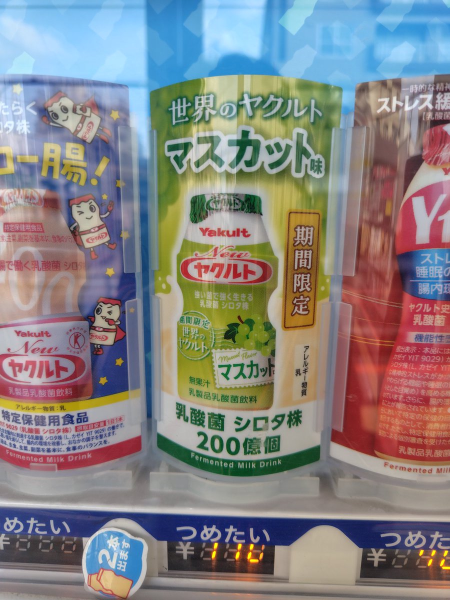 菊次郎 tweet media