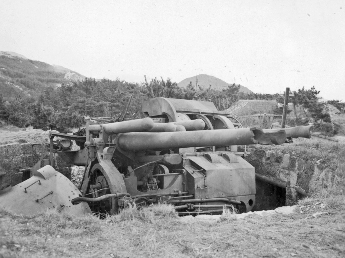 Sebastian Sułek tweet media