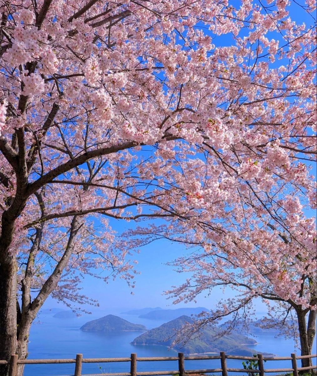 𝘔𝘶𝘳𝘢𝘭𝘪𝘥𝘩𝘢𝘳 𝘒 tweet media