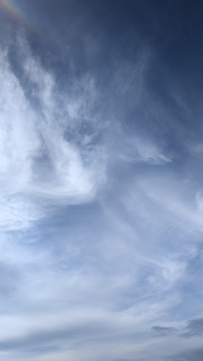 すこっち tweet media