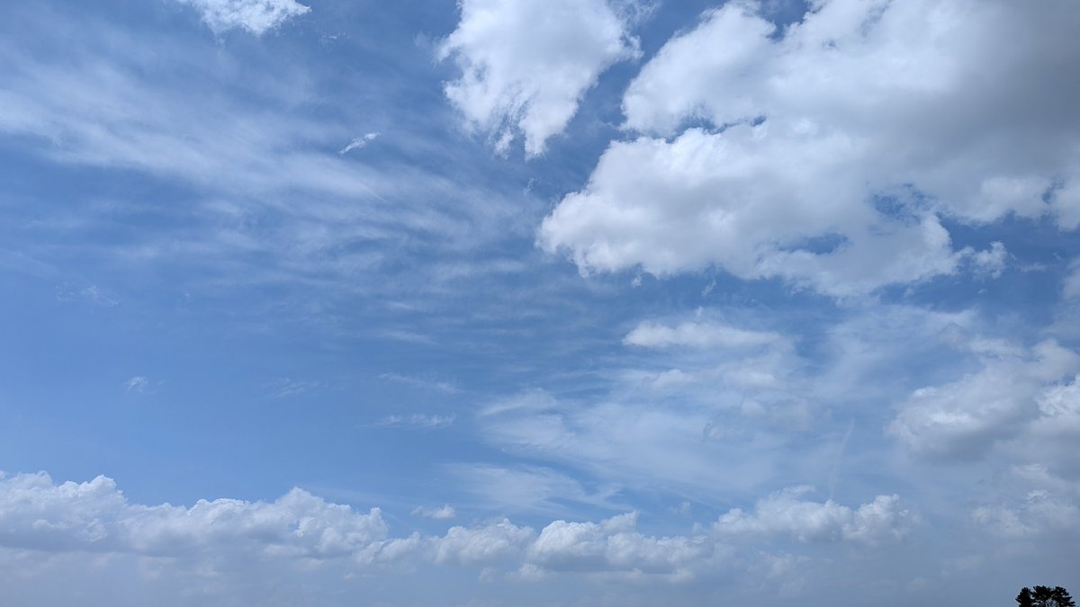 すこっち tweet media