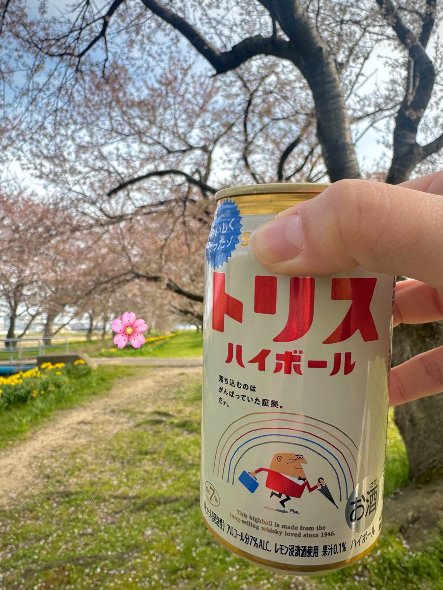 まみちゃん tweet media