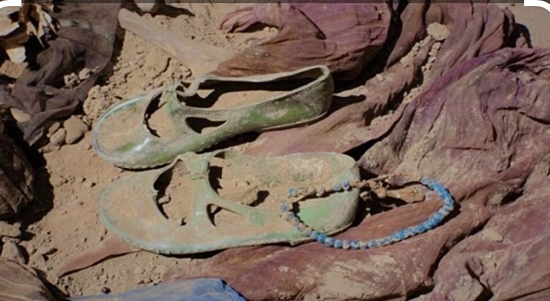 Hani_shkak's tweet image. Me tucarî şer hilnebijart, lê tucarî şerî jî dest ji me berneda. Em bûn qurbaniyên peymanên ku bi pênûsên biyanî li ser maseyên sar hatibûn îmzekirin, lê bi xwîna me hatin nivîsandin. 🖋️🩸

🕊️🖤
#Enfal #Kurdistan #Genocide