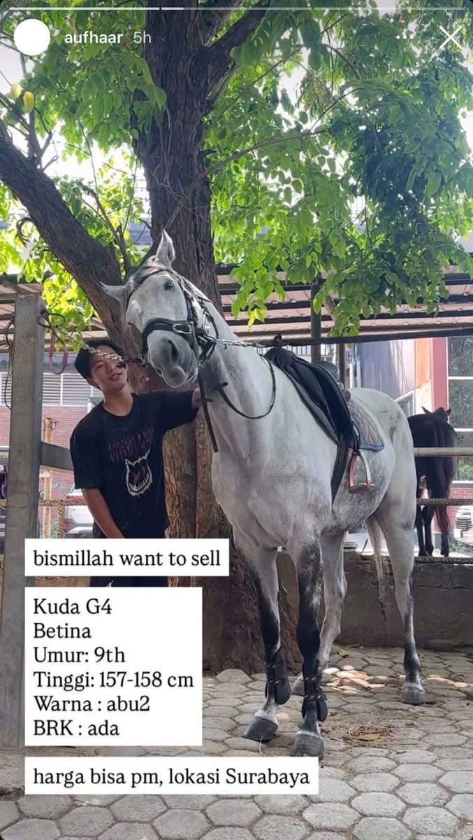 lili hadid tweet media