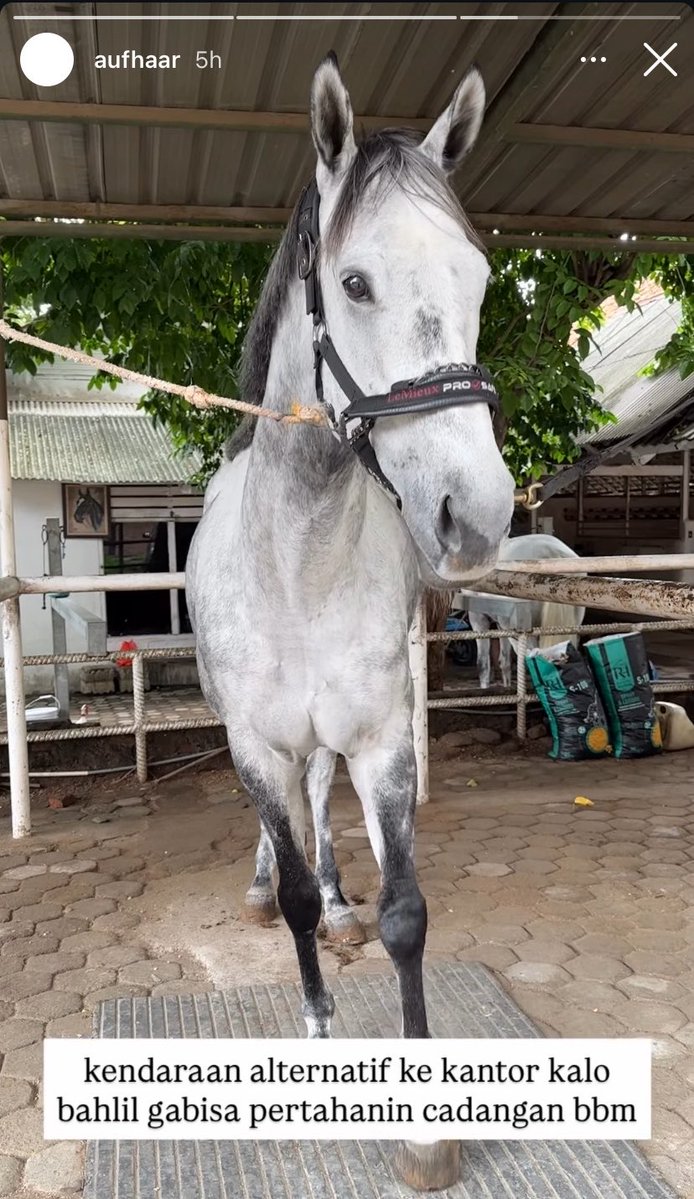 lili hadid tweet media