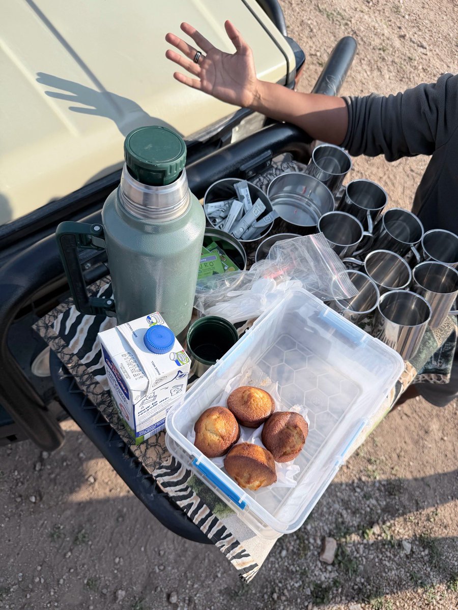 MSS Trending tweet media