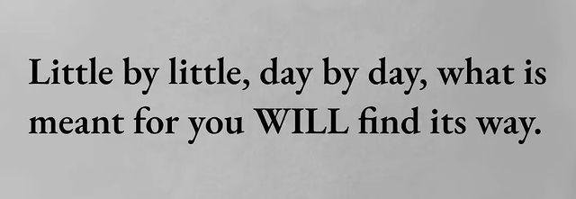 Stanley San 🥀 tweet media