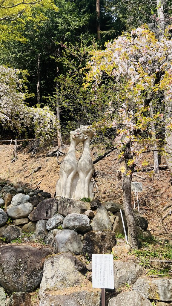 yama__tabi tweet media