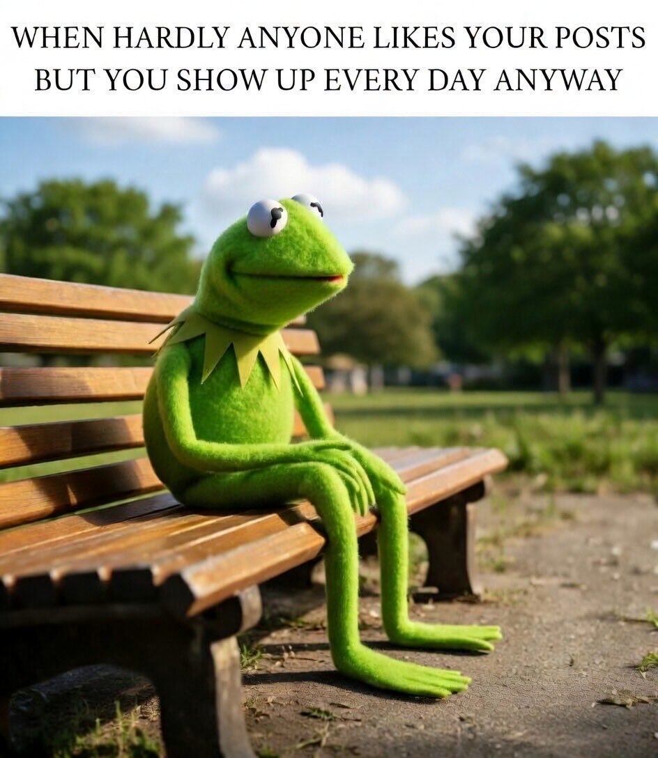 Steph ★✩*🦋 tweet media