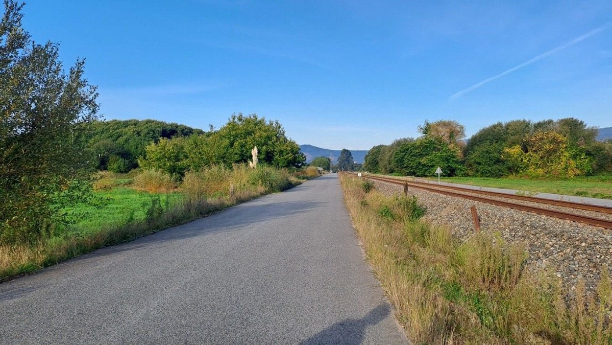 Óscar Puente tweet media