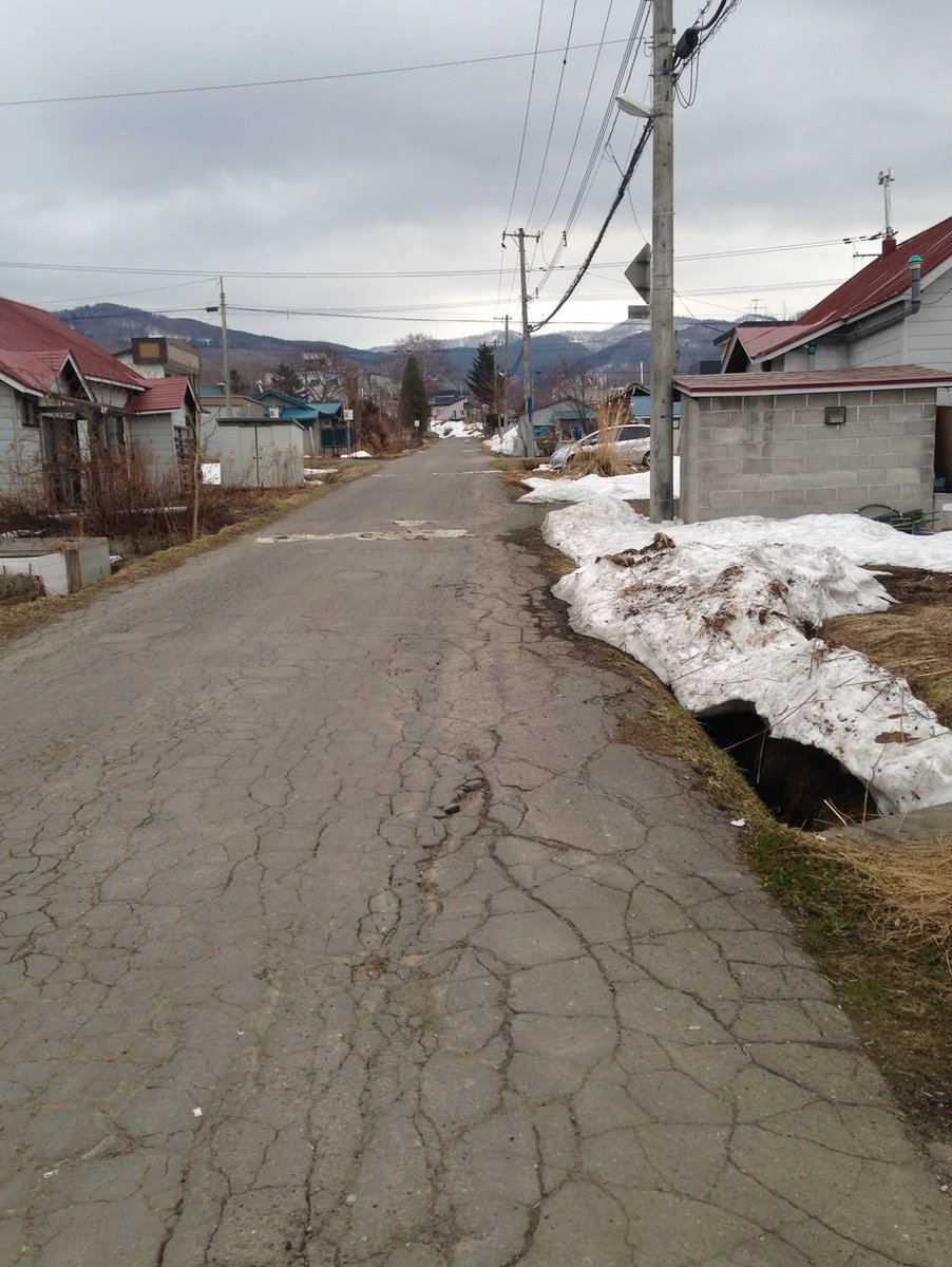 Slonik 🇷🇺 tweet media