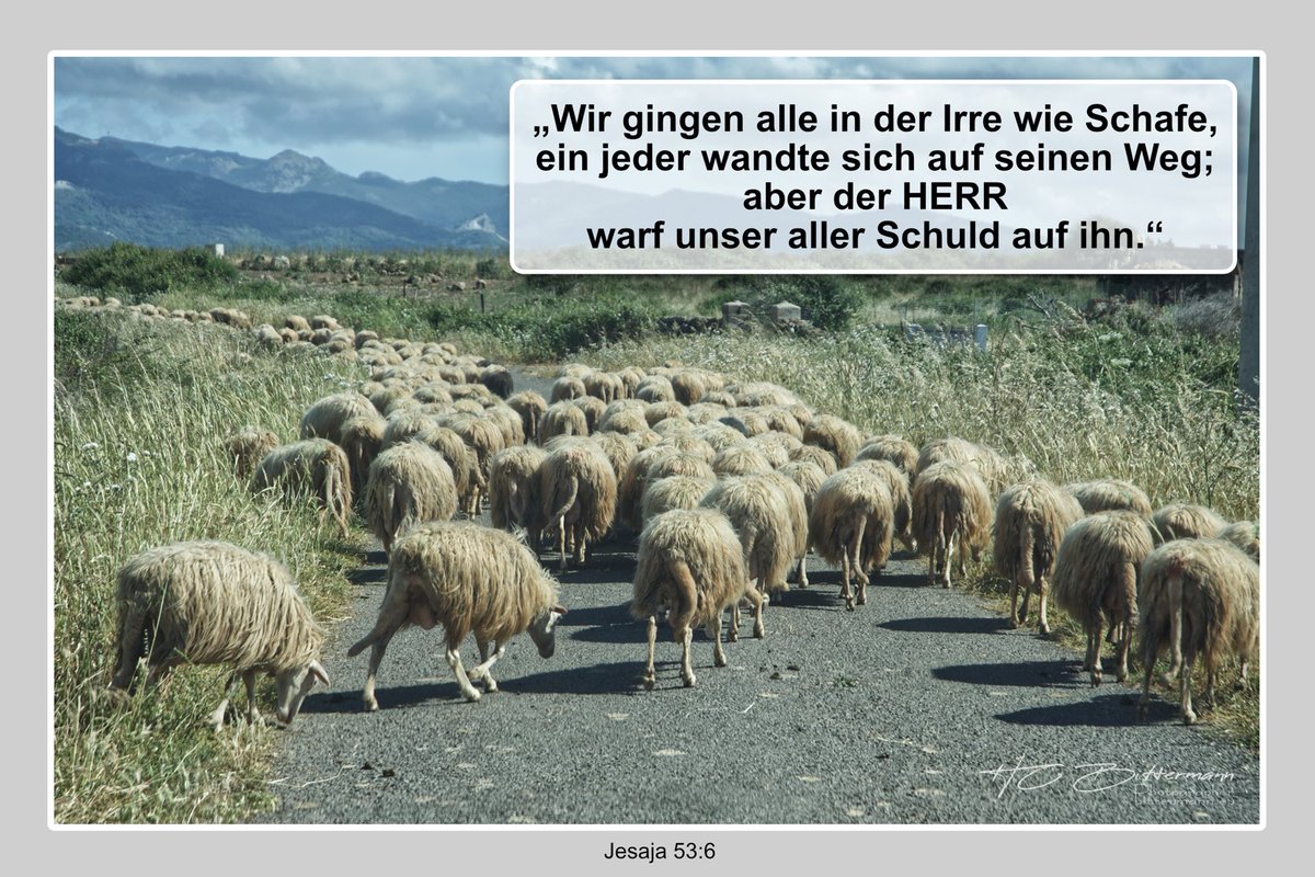 hcbit's tweet image. 👉🏼 Dies ist der Tag, den der #Herr gemacht hat; wir wollen uns freuen und fröhlich sein in ihm! 👈🏼
(#Psalm 118:24)

Ich wünsche ALLEN einen gesegneten Tag. 
Kommt mit #Gott, gut und gesund, durch diesen Tag!

Heute mit: Jesaja 53:6

#botschafterdesherrn #bibelvers