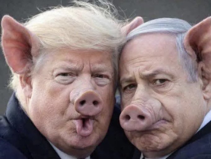 Passeur d'infos tweet media