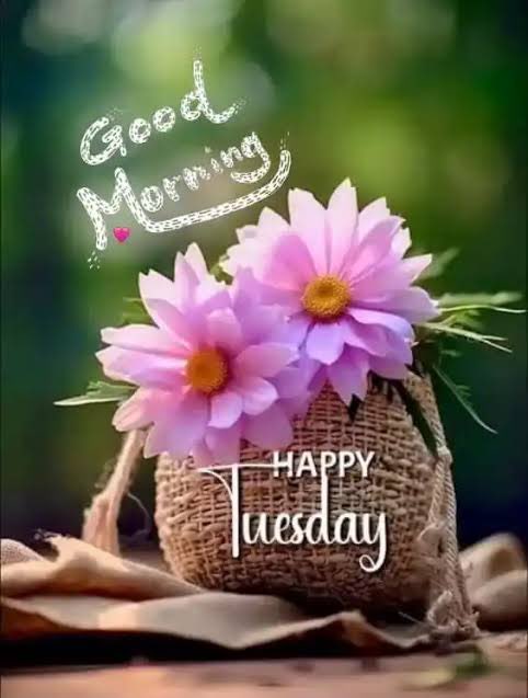emilyedwards349's tweet image. Happy Tuesday Everyone-
May your day unfold to bring you peace and serenity. Enjoy each hour and always try to wear a smile.

#WritingCommunity #tuesdaythoughts #positivemind #happytuesday #goodmorning
