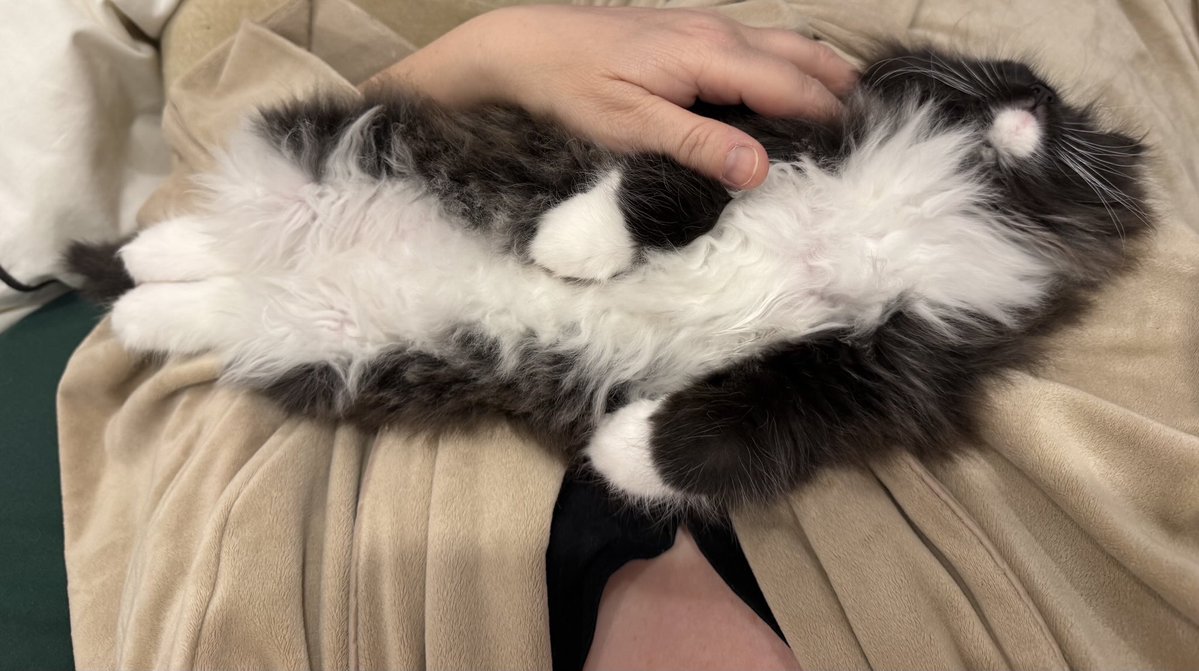 Sarah Evans tweet media