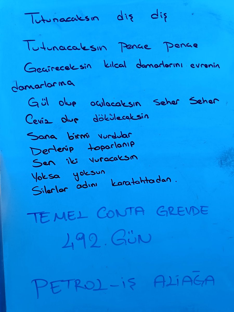 Temelcontagrev tweet media