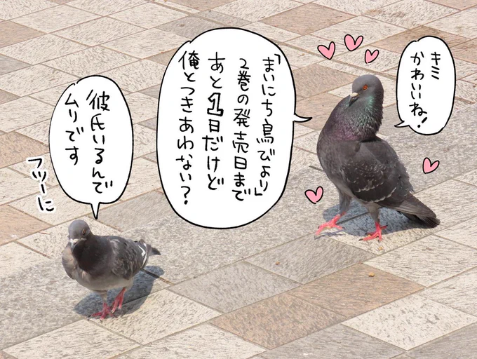 発売日まであと1日なドバトたち 