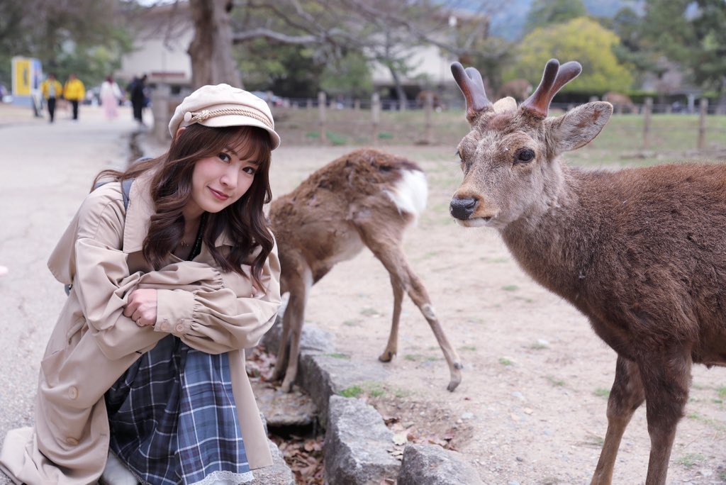 AiRi🐶♥️Bellefemme撮影会 tweet media