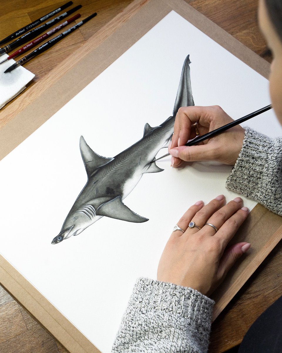 Watergate Bay Hotel tweet media