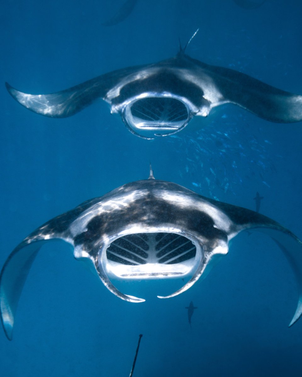 Watergate Bay Hotel tweet media