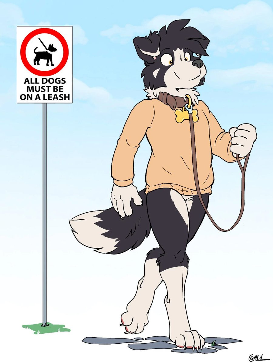 Libs of Furry tweet media