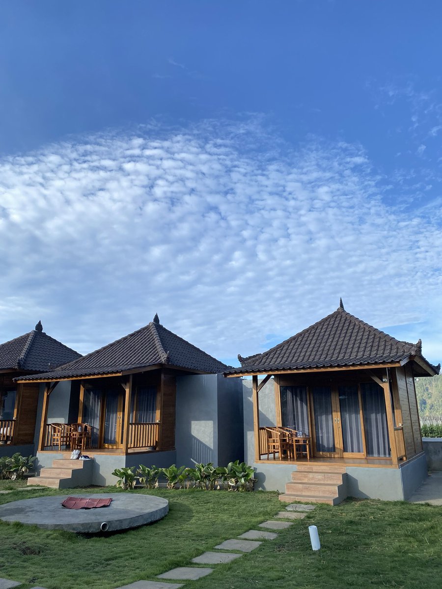 Nisa🐾🍳 tweet media