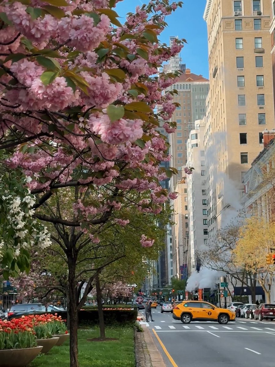 Nature Feels Only tweet media