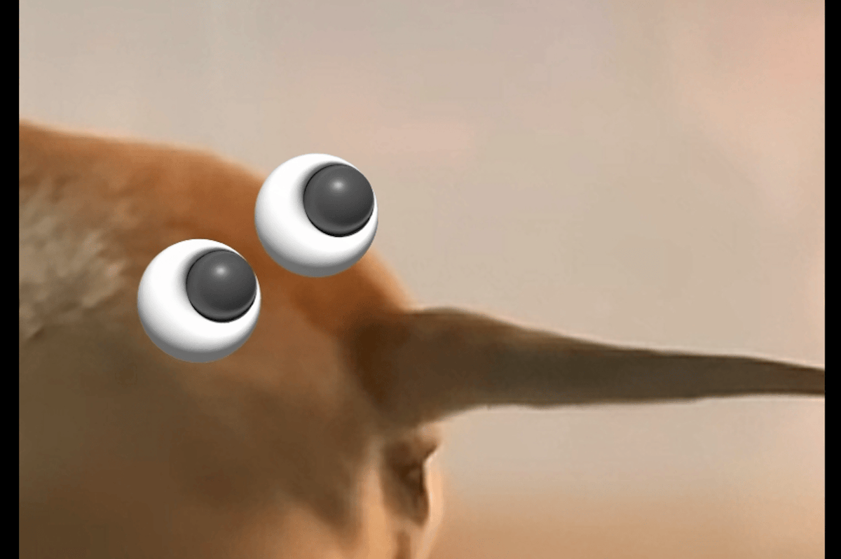 T Chiu tweet media