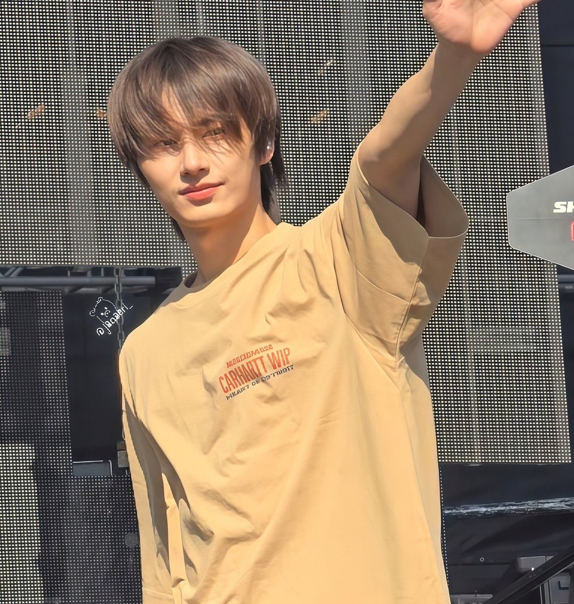 ダーラ。 tweet media