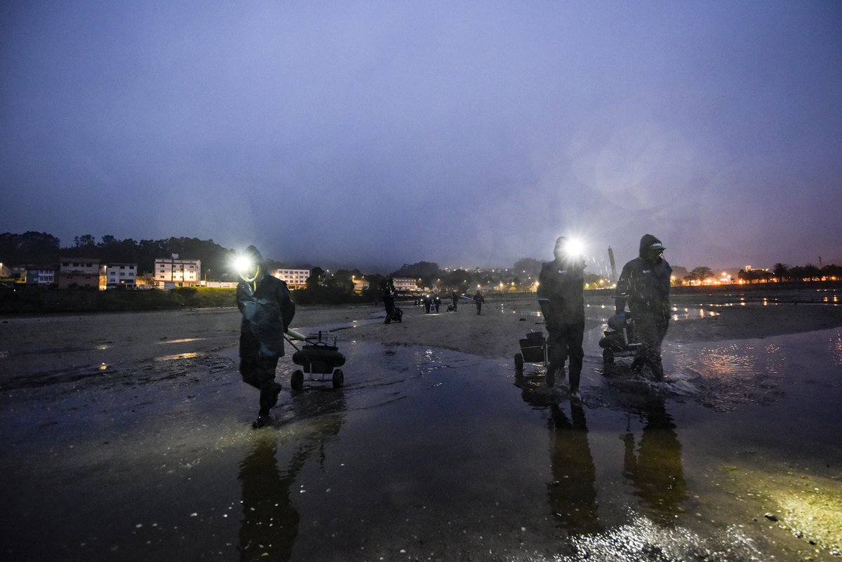 lavozdegalicia's tweet image. Amanece en la ría de Pontevedra con el ritmo de la marea. 🌊
Las mariscadoras de Campelo ya trabajan en la seca, guiadas por sus frontales en la penumbra. Una labor incansable que sostiene nuestra costa. 🐚
📸 Adrián Baúlde

#AmaneceEnGalicia #Pontevedra #Marisqueo #Galicia #Poio