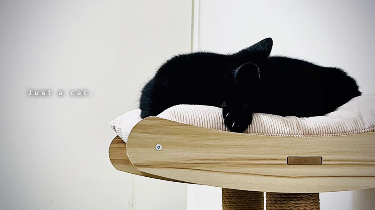 KIMINA STUDIO tweet media